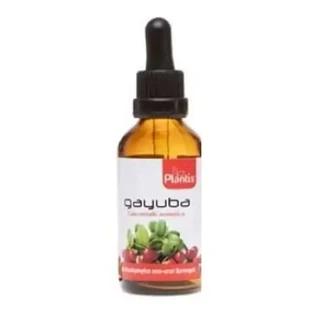 Artesania Ext.Gayuba 50Ml Master Herbarium