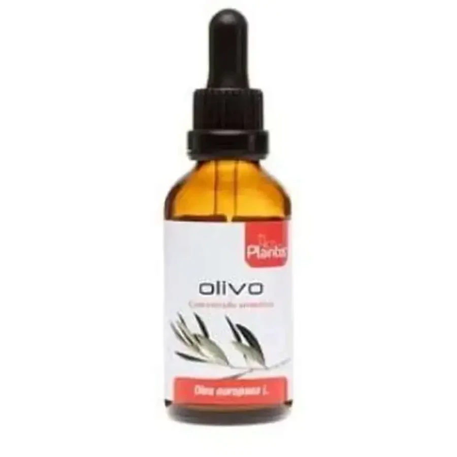 Artesania Ext.Olivo 50Ml Master Herbarium: цены и характеристики