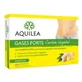 Aquilea Gases Forte Древесный уголь 60 капсул