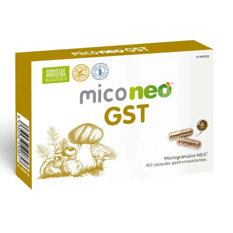 Neo Mico Gst, 60 капсул: ціни та характеристики