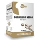 Waydiet Natural Products Чорна смородина фітогранули 45 капс.
