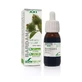 Soria Natural Burdock Extract S Xxi, 50 мл
