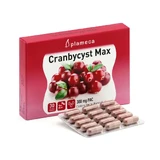 Plameca Cranbycyst Max 30 капсул