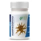 Ghf Harpagophytum 500Mg. 100 Tablets