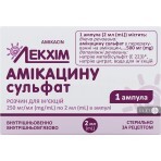 Амікацину сульфат р-н д/ін. 250 мг/мл амп. 2 мл: ціни та характеристики