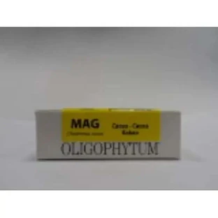 Holistica Oligophytum магній 100 грамів