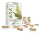 Soria Natural 8-S Calaguala 310 мг пролонгованої дії, 30 капсул