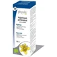 Physalis Hypericum Hypericum P. Extract 100Ml. Био
