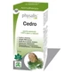 Эссенция кедрового дерева Physalis 10 мл. Bio