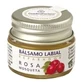 Бальзам для губ Esential Aromes Шипшина 5 гр