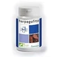 Plameca Harpagophytum Capsudiet 40 капсул