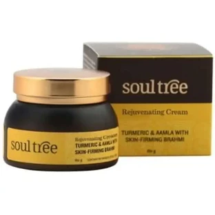 Soultree Регенерирующий крем для лица с куркумой и амлой 60 гр.
