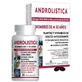 Holistica Androlistica, 90 капсул