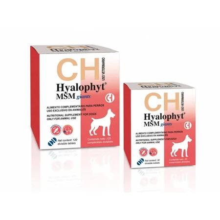CHEMICAL IBERICA Hyalophyt MSM Giants, L-XL, добавка для суставов для собак, коробка, 30 таблеток: цены и характеристики