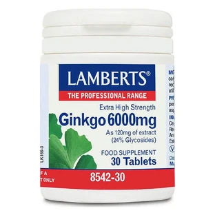 Екстракт гінкго білоба Lamberts 6000мг 30таб.