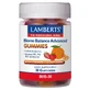 Lamberts Biome Balance Advanced Gummies с натуральным вкусом апельсина и клубники 30шт