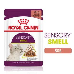 ROYAL CANIN Sensory Smell Стимулирующий влажный корм для кошек (в соусе), 85г