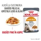 ROYAL CANIN Hair&Skin Care Adult вологий корм для котів шкіра та шерсть (в аскорбінці), 85г