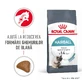 ROYAL CANIN Hairball Care Adult, сухой корм для кошек, контроль комочков шерсти, 400 г