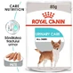 ROYAL CANIN Urinary Care Adult, влажный корм для собак, здоровье мочевыводящих путей, (паштет), 85 г