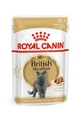 ROYAL CANIN British Shorthair Adult, влажный корм для кошек, (в соусе), 85г