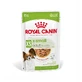 ROYAL CANIN X-Small Adult влажный корм для собак (в соусе), 85 г