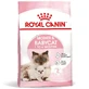 ROYAL CANIN Mother & BabyCat, сухой корм для кошек, мама и котенок, 400 г.