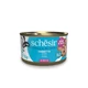 Schesir