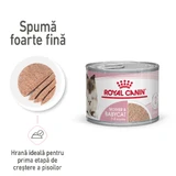 ROYAL CANIN Mother & BabyCat, влажный корм для кошек, мама и котенок, (мусс), 195 г.