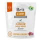 BRIT Care Hypoallergenic Гипоаллергенный сухой корм для собак крупных пород, L-XL, Honey, с одним белком, для собак младших пород, иммунная система и аллергия, 1 кг