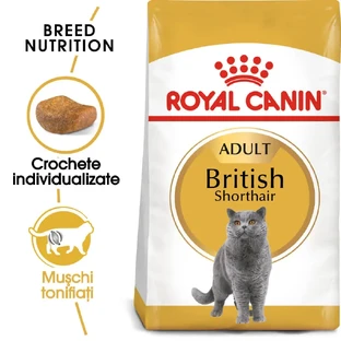 ROYAL CANIN British Shorthair Adult, сухой корм для кошек, 2 кг