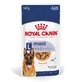 ROYAL CANIN Maxi Adult, влажный корм для собак, (в соусе), 140г