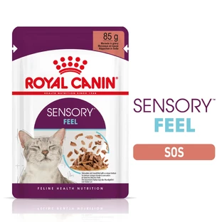 ROYAL CANIN Sensory Feel влажный корм для кошек, стимулирующий чувство осязания (в соусе), 85г