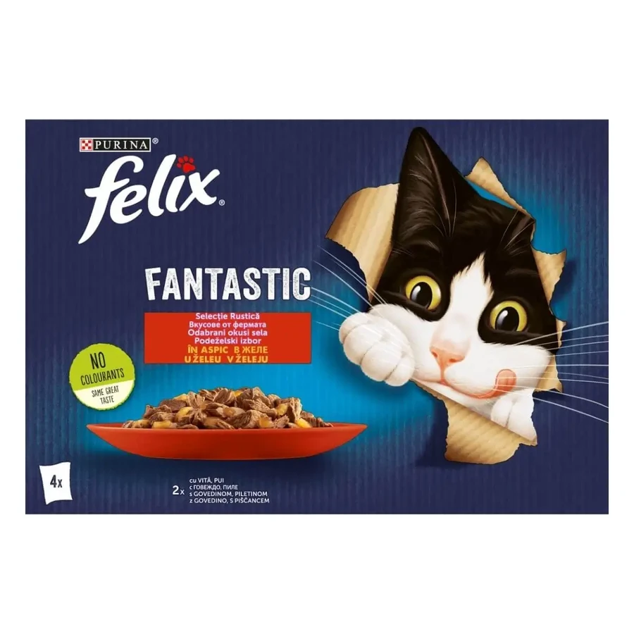 PURINA Felix Fantastic, 2 смаки (Віта та Курка), змішаний пакет, вологий корм для котів у пакетиках, (в аспіконі), 85г х 4: ціни та характеристики