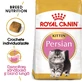 ROYAL CANIN Persian Kitten, сухий корм для котів молодшого віку, 2 кг