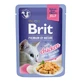 BRIT Premium by Nature Delicate File, куряче філе, вологий корм для котів у пакетиках, (в ассіці), 85г
