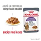 ROYAL CANIN Appetite Control Care Вологий корм для дорослих котів Контроль апетиту (в соусі), 85г