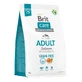 BRIT Care Grain-Free Adult, XS-M, Salmon, беззерновой сухой корм для собак, кожа и шерсть, 3 кг