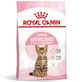 ROYAL CANIN Kitten Sterilised, сухий корм для молодих стерилізованих котів, 400 г