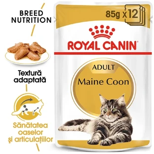 ROYAL CANIN Мейн Кун Adult, вологий корм для котів, (в соусі), бакс, 85г х 12шт
