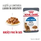 ROYAL CANIN Light Weight Care Adult, влажный корм для кошек, для снижения веса, (в соусе), 85г