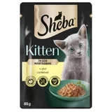 SHEBA Kitten, Chicken, саше влажный корм для кошек младших возрастов, (в соусе), 85 г