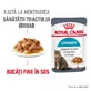 ROYAL CANIN Urinary Care Adult, влажный корм для кошек, здоровье мочевыводящих путей, (в соусе), 85 г