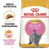 ROYAL CANIN Британське короткошерсте кошеня, сухий корм для котів молодшого віку, 400 г