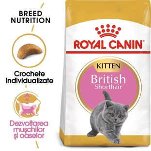 ROYAL CANIN British Shorthair Kitten, сухой корм для молодых кошек, 400 г