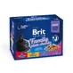 BRIT Premium Multipack Family Plate, 4 вкуса, смешанная упаковка, саше влажного корма для кошек, (в соусе), 100 г x 12