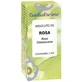Esential Aroms Bulgarian Rose Absolute 2Ml