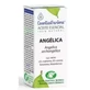 Esential Aroms Angelica Root Essential Oil 5Ml