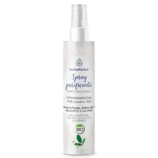 Esential Aroms Purifying Hydroalcoholic Spray 100Ml. Био
