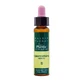 Artesania Cerato Plantis Bach Flowers № 05 10Ml